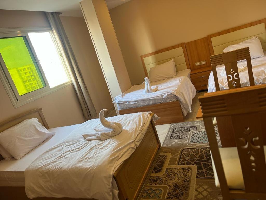 Grand Pyramids View Hotel Каїр Екстер'єр фото